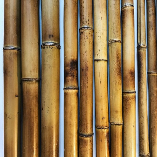 Бамбуковый ствол (обожженный) D 30-40мм.